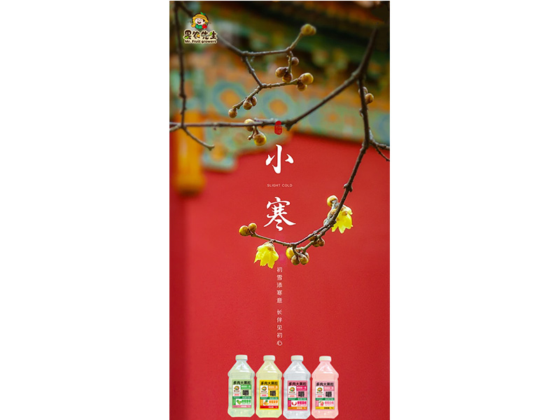 小寒迎雪至 岁暮归家时