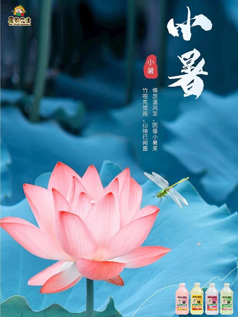 图片3