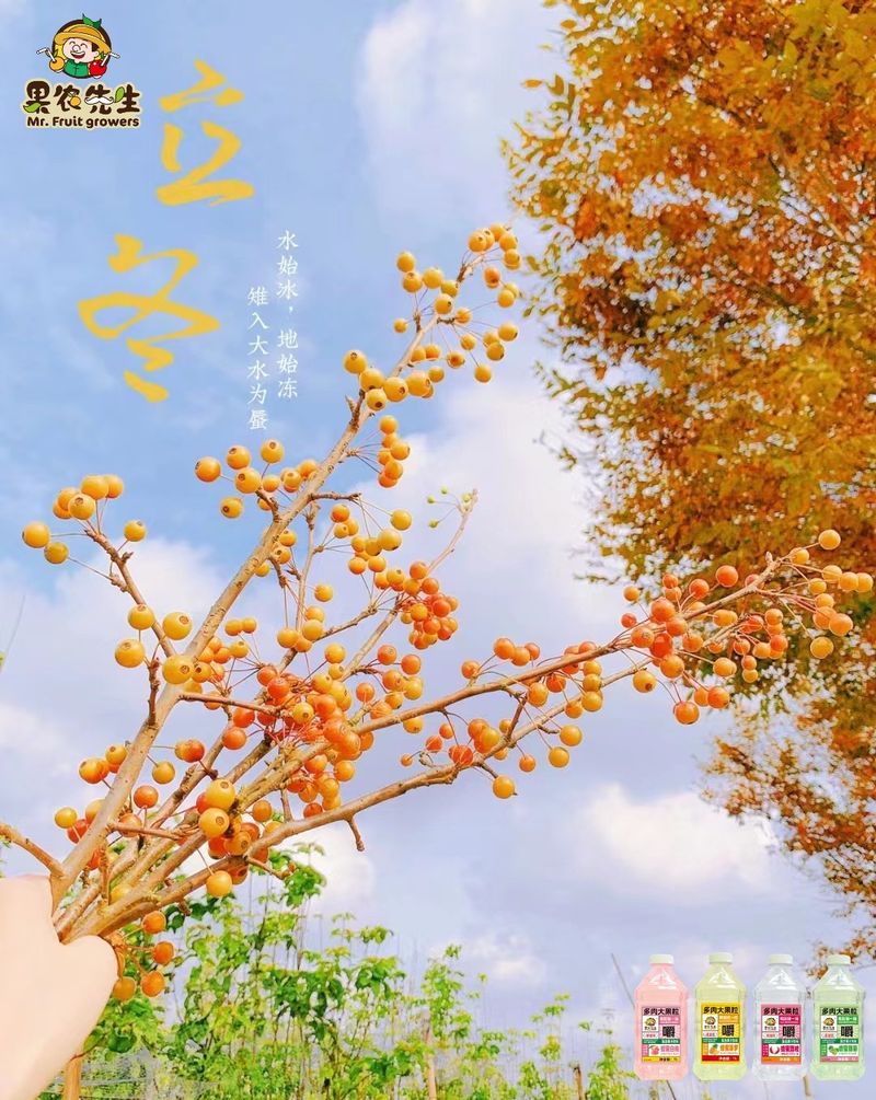 图片2